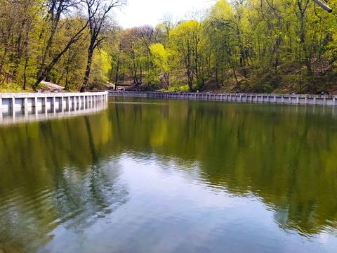 квартира за адресою Павла Вірського бульв. (Саратівська), 14/9