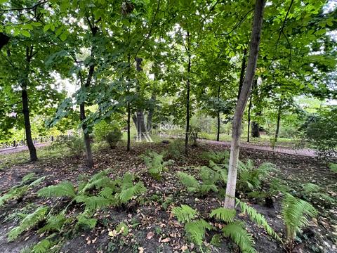 ділянка за адресою Центральна вул.