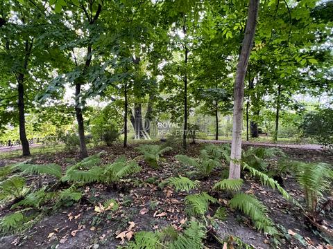 ділянка за адресою Центральна вул.