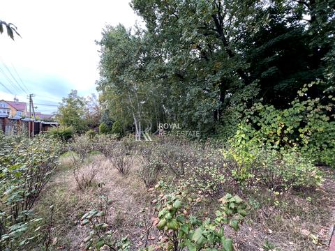 ділянка за адресою Центральна вул.