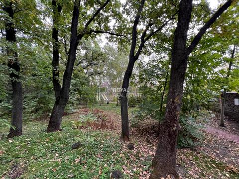 ділянка за адресою Центральна вул.