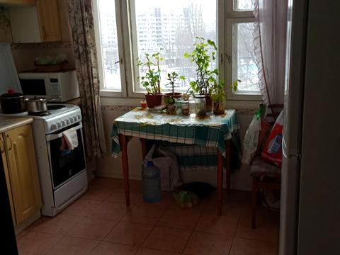 квартира за адресою Харківське шосе, 146