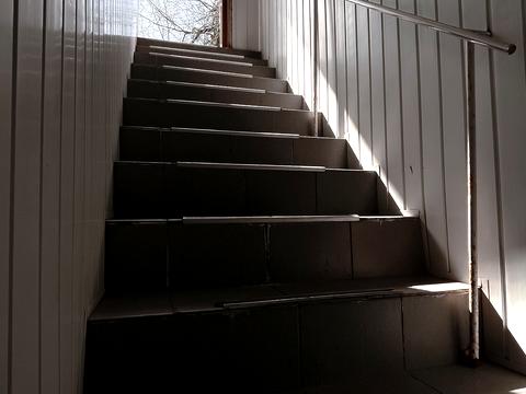 комерційна за адресою Левка Мацієвича вул. (Соціалістична), 21/10