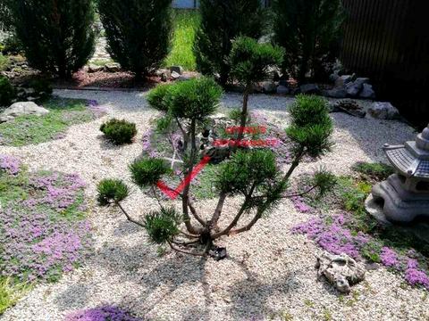 будинок за адресою Полтава, Ромашкова вул.