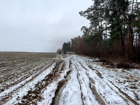 участок по адресу Центральная ул.