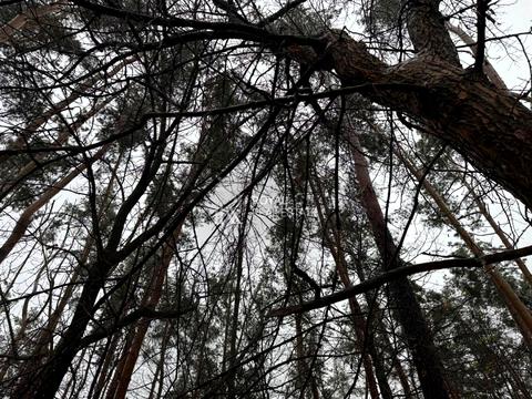 участок по адресу Центральная ул.