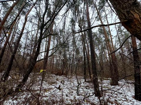 участок по адресу Центральная ул.