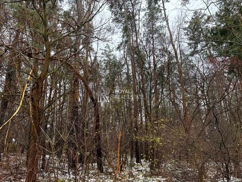 участок по адресу Центральная ул.
