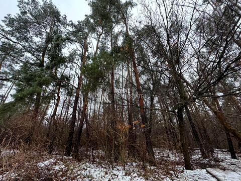 участок по адресу Центральная ул.