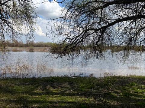 дом по адресу Шевченка