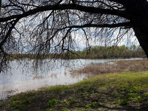 дом по адресу Шевченка