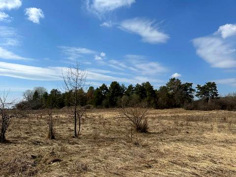 участок по адресу 