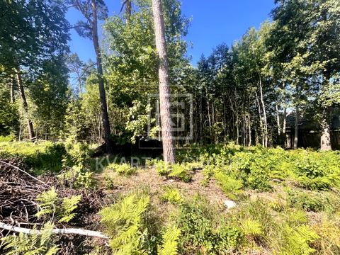 участок по адресу 