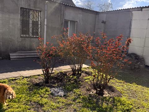 будинок за адресою Васильєвська вул.