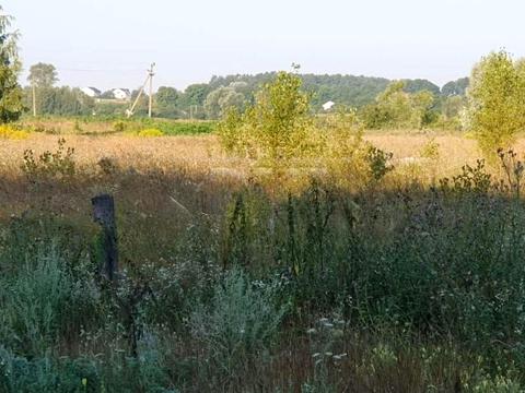 ділянка за адресою 