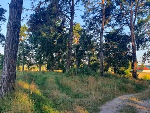 ділянка за адресою 