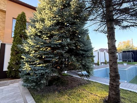 будинок за адресою Семенівська вул.