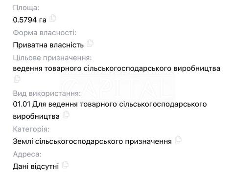 ділянка за адресою Святкова