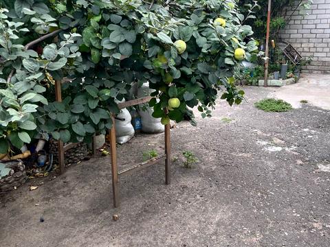 квартира по адресу Фалеевская ул. (Москва — Санкт-Петербург), 37