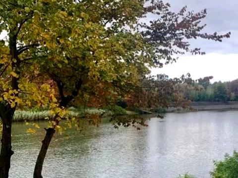 дом по адресу Садовая ул.