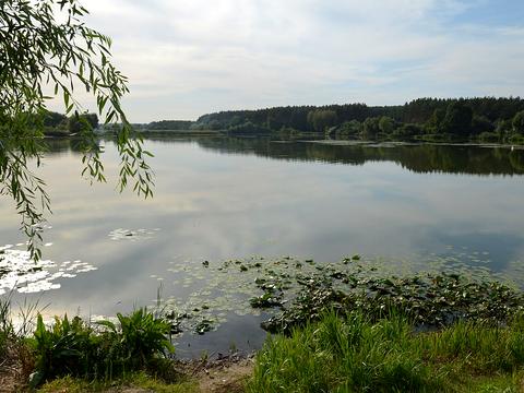 будинок за адресою Квіткова