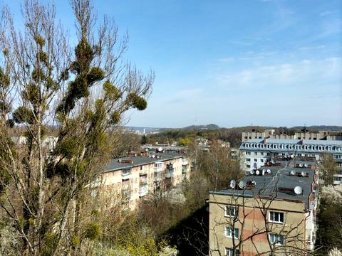 квартира за адресою Героїв Крут вул., 11б