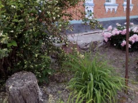 будинок за адресою Шевченка, 44