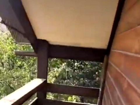 дом по адресу Науки ул., 65