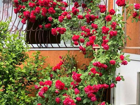 коммерческая по адресу Драгоманова ул., 11