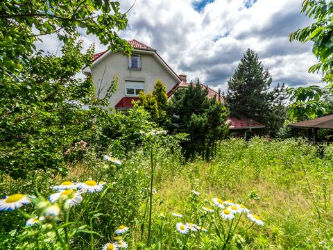 будинок за адресою Князя Володимира Ольґердовича пров. (Червоний), 16