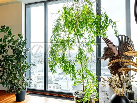 квартира по адресу Паньковская ул., 20/82