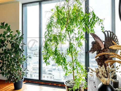 квартира за адресою Паньківська вул., 20/82