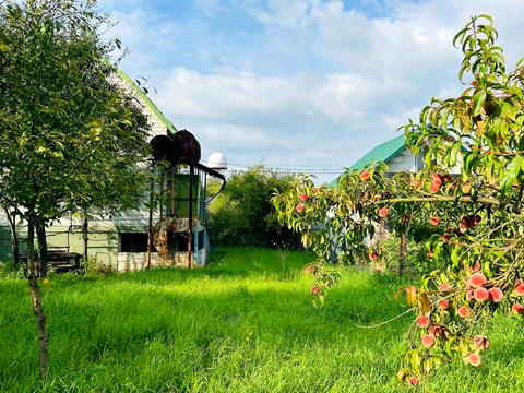 ділянка за адресою 