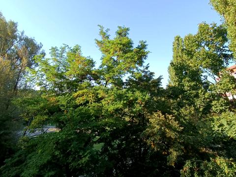 комната по адресу Тернопільська ул., 12/1