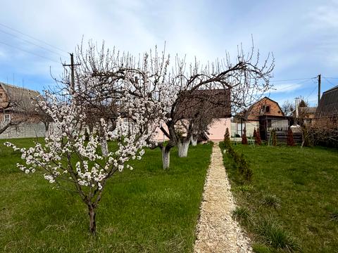 будинок за адресою Колійна вул. (Вороніна), 126