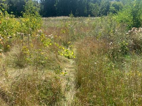 участок по адресу 