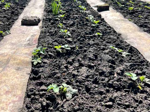 участок по адресу Симиренківська ул.