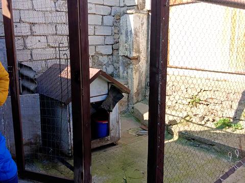 дом по адресу Патріотична ул., 98