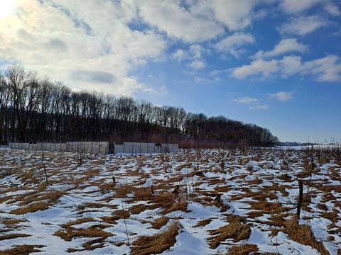 участок по адресу Івана Франка