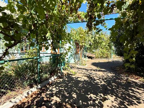 будинок за адресою Олександра Пацара, 44