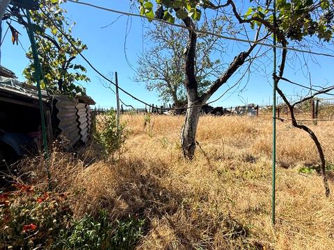 будинок за адресою Олександра Пацара, 44