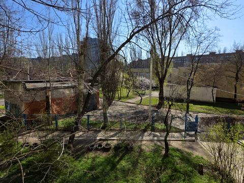 квартира за адресою Максима Дія вул. (Шелгунова), 4