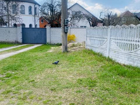 комерційна за адресою Провулок Всеволода Петріва, 6