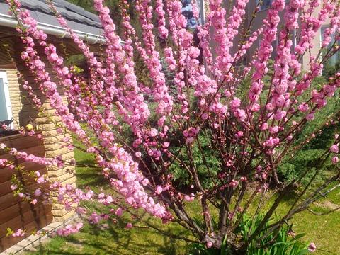 будинок за адресою Ватутіна пров.