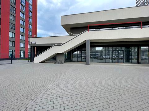 комерційна за адресою Олександра Олеся вул., 8а