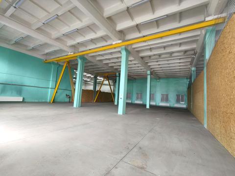 комерційна за адресою Романа Шухевича вул. (Курчатова), 6