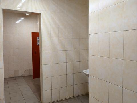 комерційна за адресою Романа Шухевича вул. (Курчатова), 6