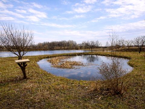 будинок за адресою Шевченка вул.