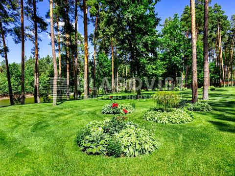 дом по адресу Сонячна, 2