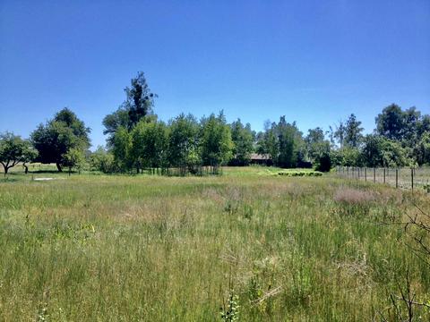 участок по адресу Злагоди, 16